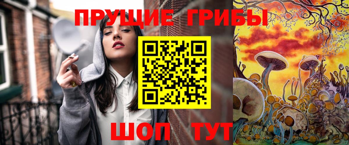 наркошоп  Донской  Псилоцибиновые грибы мицелий  Псилоцибиновые грибы ЛСД 