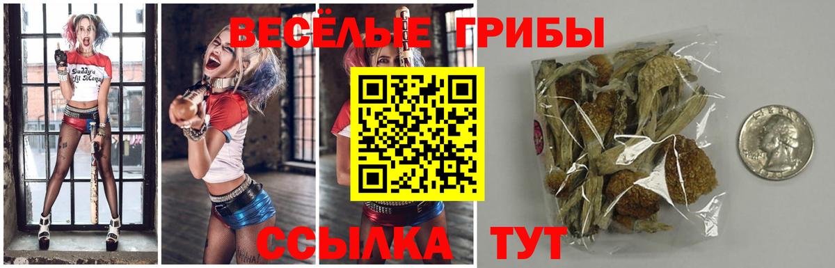Галлюциногенные грибы прущие грибы Донской